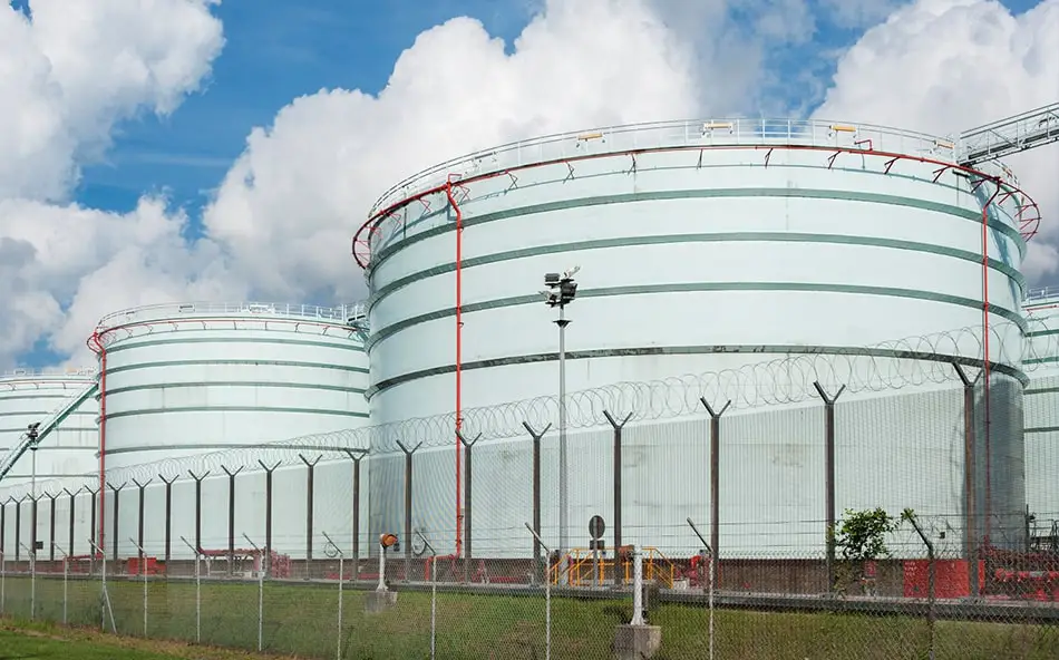 真趣科技（国内定位领军企业)